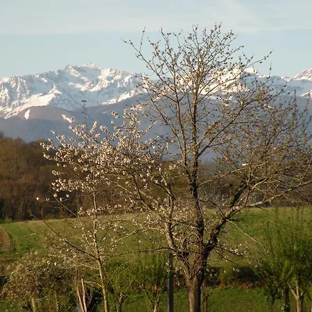 Chambres D'hotes La Buissiere Bed & Breakfast