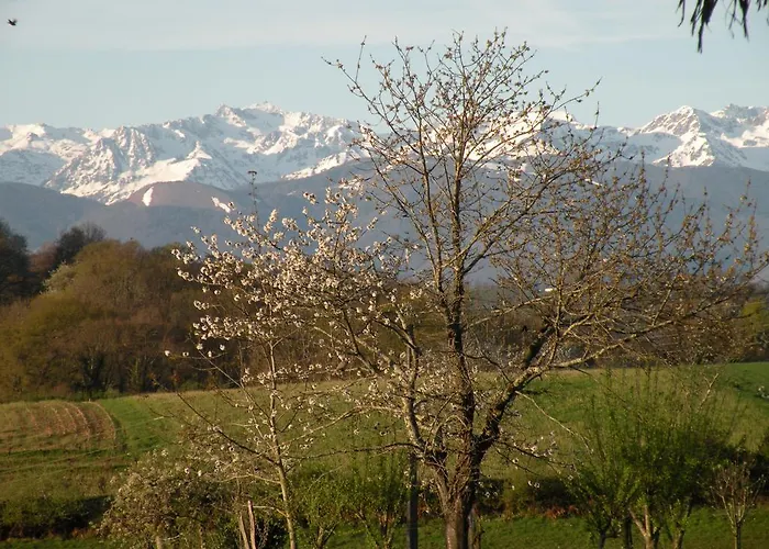 Chambres D'hotes La Buissiere Frühstückspension